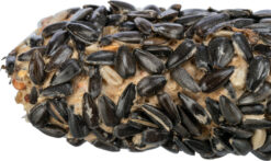 Alternative view of Futterstange XL mit Sonnenblumenkernen, 30 cm