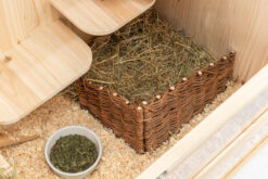 Alternative view of Elément d'angle, saule