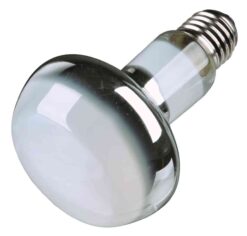 Alternative view of Lampe Spot-Réflecteur, 150 W
