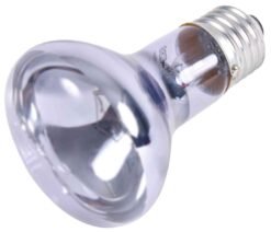 Alternative view of Neodym.Wärm.Spot-Lampe