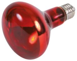 Alternative view of Lampe Spot infrarouge, rouge, 150W