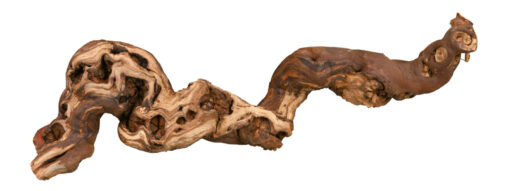 Weinrebe, wassergestrahlt nur per VE 5Stk., M: 30-40cm