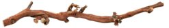 Weinrebe, wassergestrahlt, L: 40-60cm