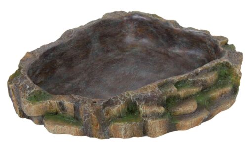 Écuelle à eau et gamelle, p.reptiles,24x5.5x20cm 24x5.5x20cm