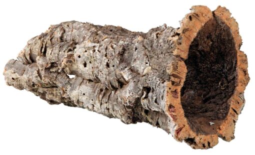 Korkröhre, L: ø 15-19 cm/28-55 cm nur per VE 5Stk.