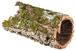 Korkröhre, XL: ø 25-35 cm/65-75 cm