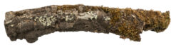 Alternative view of Korkröhre, XS-S: ø 5-10 cm/5-20 cm