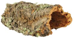 Korkplatte, L: bis zu 55 cm