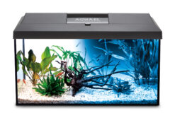 Alternative view of AQUARIUM SET LEDDY 60 SCHWARZ D&N 2.0