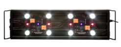 Alternative view of Repti Sun LED Leuchte