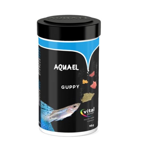 100ML Product Variation 100ML