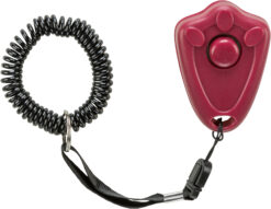 Alternative view of "Clicker" Ausbildungshilfe mit Clicker-Taste
