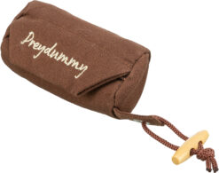 Alternative view of Preydummy,Canvas