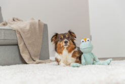 Alternative view of Roi grenouille, peluche, 42cm