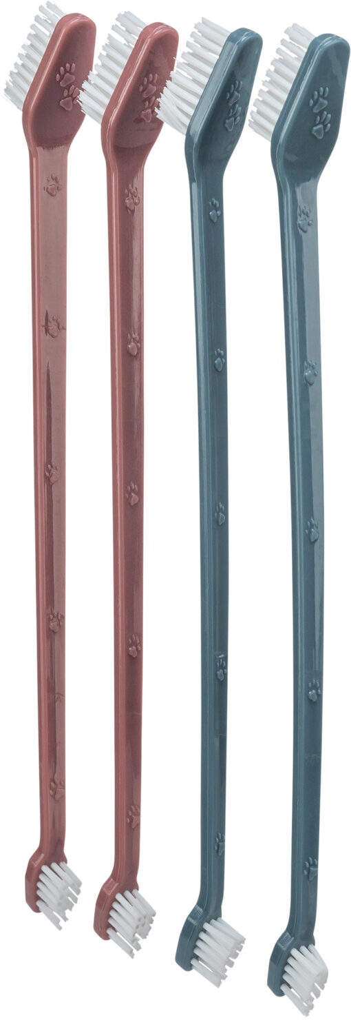 Zahnbürsten-Set, 23cm, 4 St.