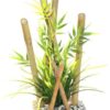 Bamboo Large Plants