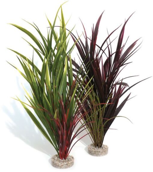 FAN GRASS 30cm