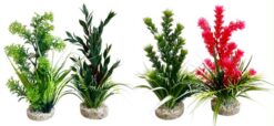 AQUAPLANT MEDIUM