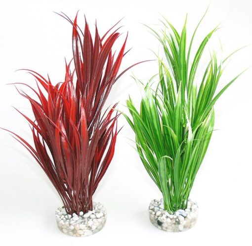 SWORD PLANT