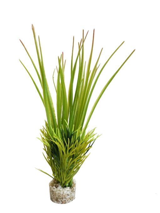 OASIS BABY 18cm