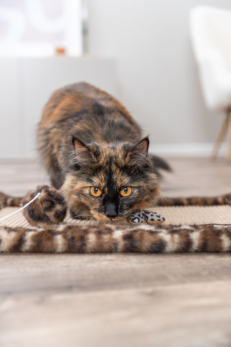 Kratzmatte Leo, 55×35cm, braun Kratzmatte Leo, 55×35cm, braun