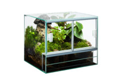 Terrarium en verre, 50x30x40cm; 3mm