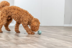 Alternative view of Labyrinth-Snacky, caoutchouc nature