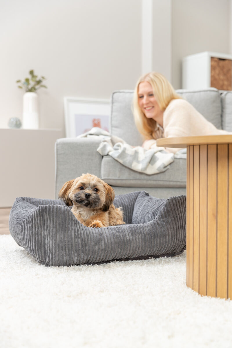 Vital Lit Jonna, velours côtelé, carré, gris foncé 60×50cm Vital Lit Jonna, velours côtelé, carré, gris foncé 60×50cm