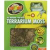 Terrarium Moss, XL