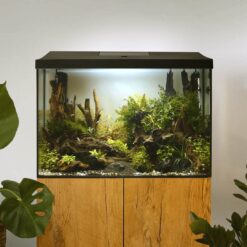 Alternative view of AQUARIUM SET LEDDY 60 XL BLACK D&N 2.0