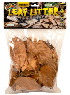 Terrarium Leaf Litter