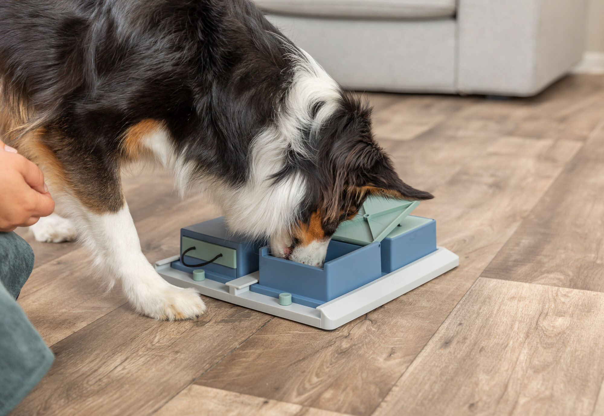 Dog Activity jeu de stratégie Poker Box 1 31x10x31cm Dog Activity jeu de stratégie Poker Box 1 31x10x31cm