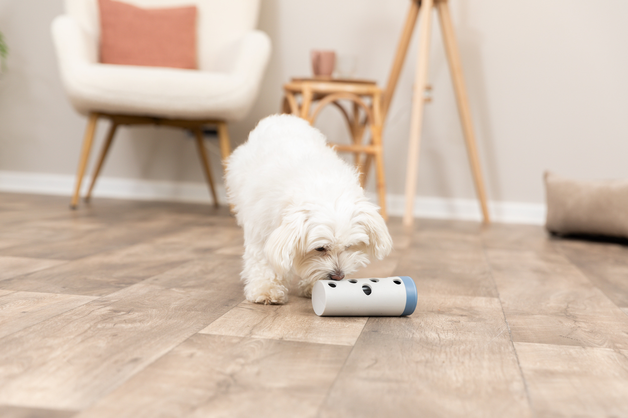 Snack Roll, en plastique/TPR, ø 6/ø 5×14 cm ø 6/ø 5×14 cm Snack Roll, en plastique/TPR, ø 6/ø 5×14 cm ø 6/ø 5×14 cm