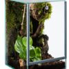 Spider Terrarium