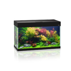 Alternative view of AQUARIUM SET OPTI SET NOIR 2.0