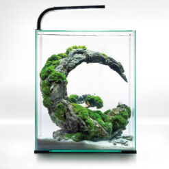 SHRIMP SET SMART D&N 30 BLACK ECOM