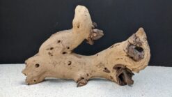 Alternative view of Mopaniholz - Mopani Wood