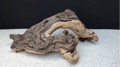 Mopaniholz - Mopani Wood