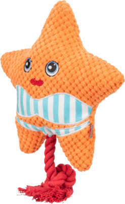 Alternative view of Étoile de mer, 22 cm, orange