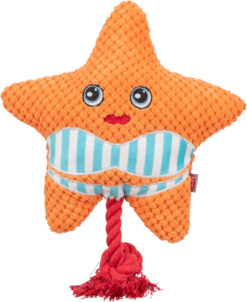 Étoile de mer, 22 cm, orange