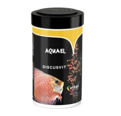 ACTI FISH FOOD DISCUSVIT DDM 08/26