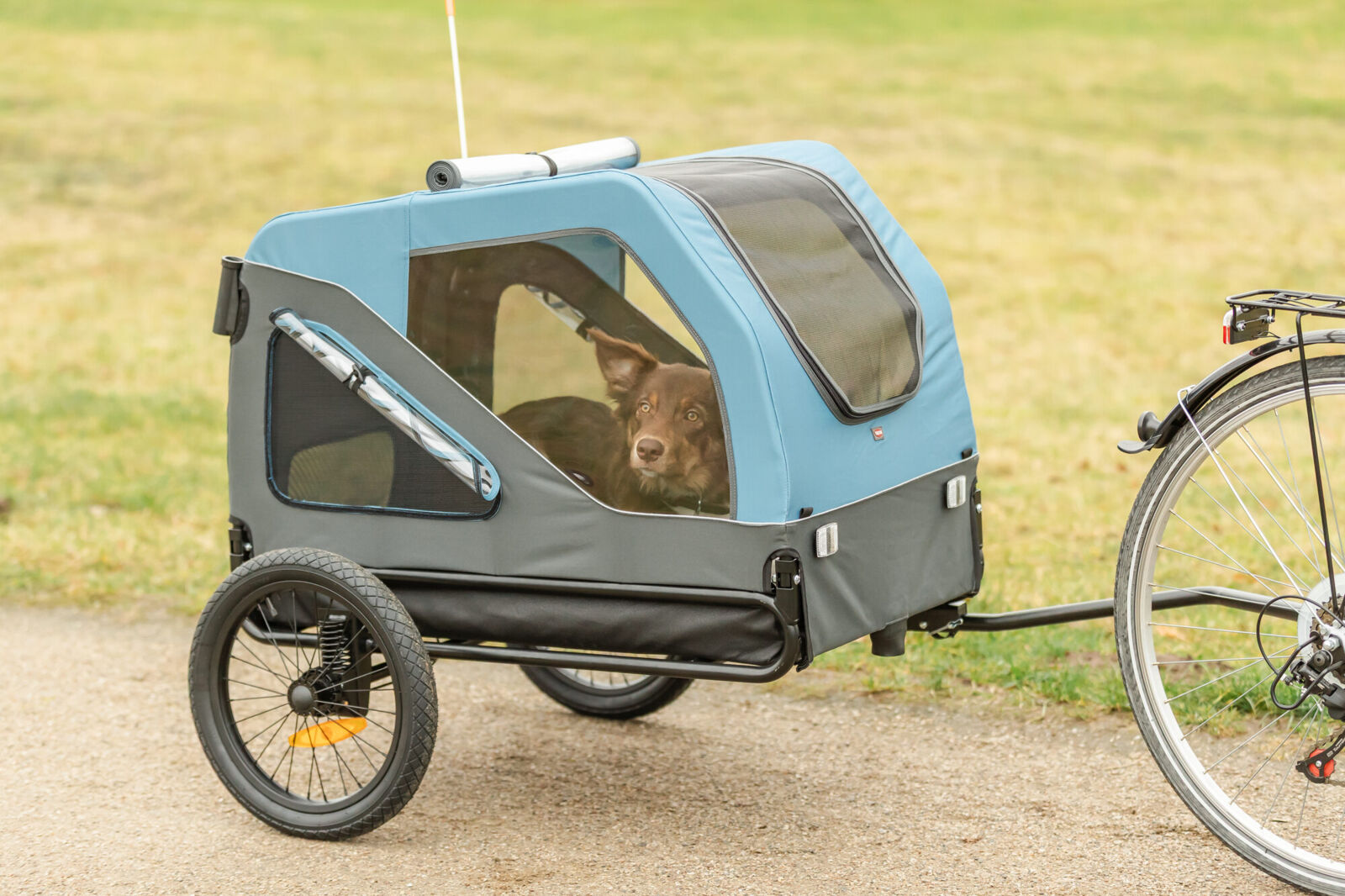 Remorque pour vélo, S: 70×88×88/131cm, bleu/gris S: 70×88×88/131cm Remorque pour vélo, S: 70×88×88/131cm, bleu/gris S: 70×88×88/131cm