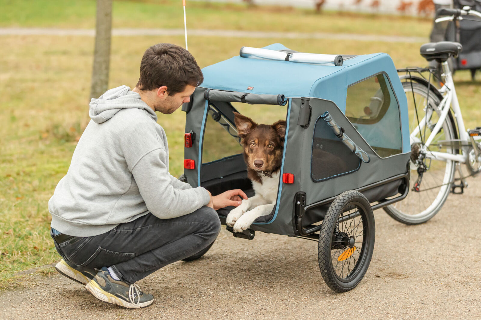 Remorque pour vélo, S: 70×88×88/131cm, bleu/gris S: 70×88×88/131cm Remorque pour vélo, S: 70×88×88/131cm, bleu/gris S: 70×88×88/131cm