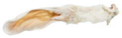 Alternative view of Oreilles de lapin avec fourrure, 100g