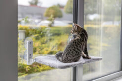 Fenster-Liegeplatz, Plüsch/Netzstoff, klappbar, 58×34cm, wei