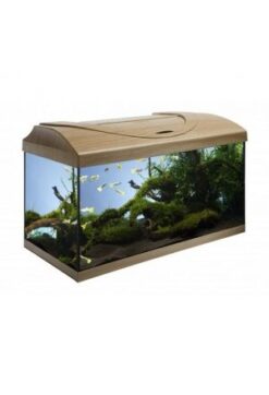 Aquarium-Set Start Up,droite, hêtre 1x15W
