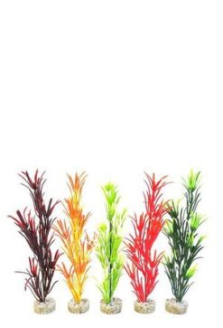 Sea Grass Baby