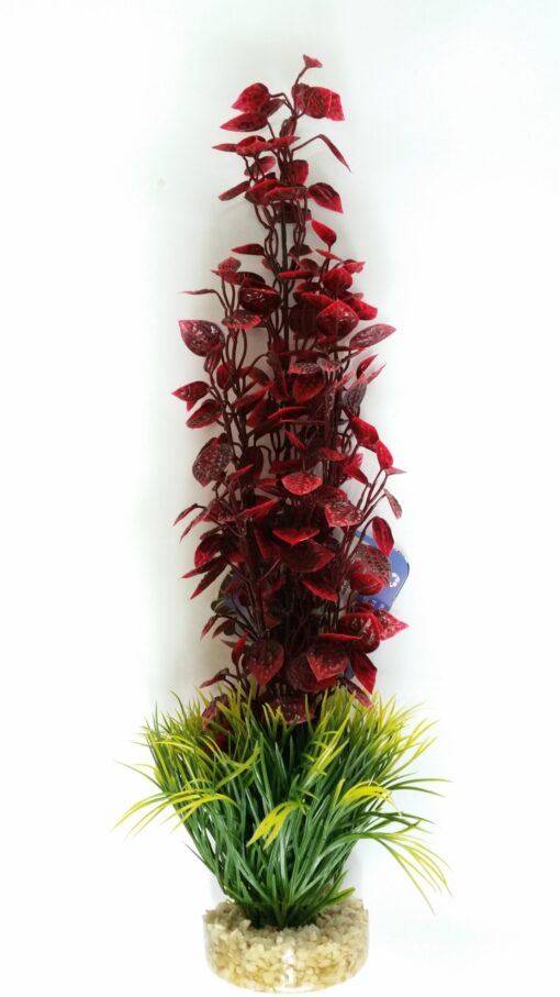 AMAZONIAN PLANT 42