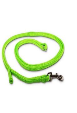Dino Hundeleine Poly. m. Easy-Locking-System, neon-grün