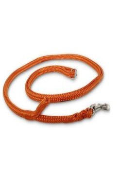 Dino Laisse poly. avec Easy-Locking système, neon-orange